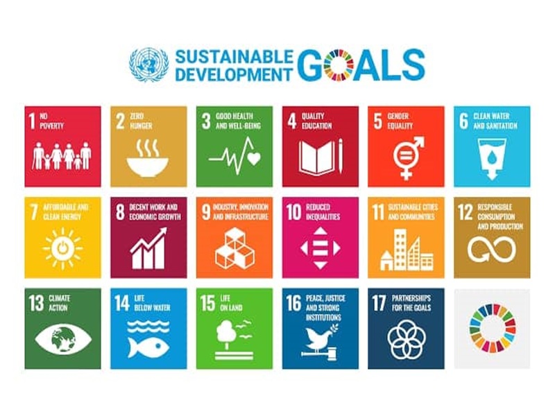 Ain Shams University is first locally and 201st globally in achieving the sustainable development goals according to THE impact ranking