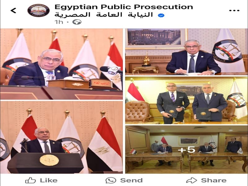 The launch of the first version of the Egyptian Public Prosecution's program for legal expertise exchange and the signing of cooperation protocols with several universities