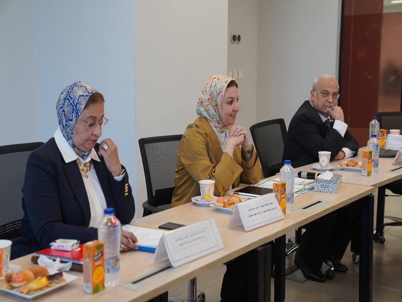 The Ain Shams University Postgraduate Studies Sector Council discusses Promoting Scientific Research and International Programs