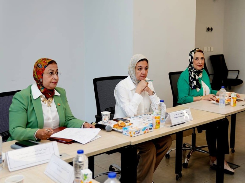 The Vice President of Ain Shams University chairs the Graduate Studies and Research Sector Council for the current academic year