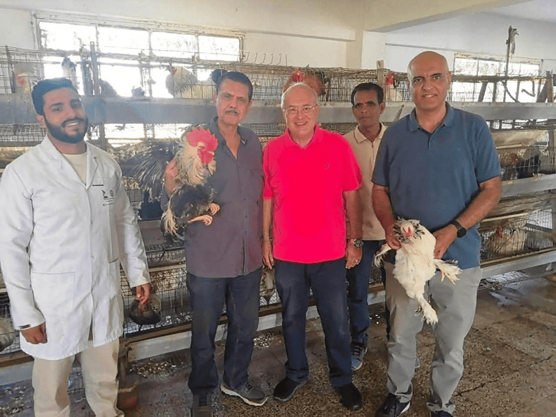 مزارع دواجن كلية الزراعة تدعم العاملين ومنتسبي الجامعة بمنتجاتها بأسعار مخفضة