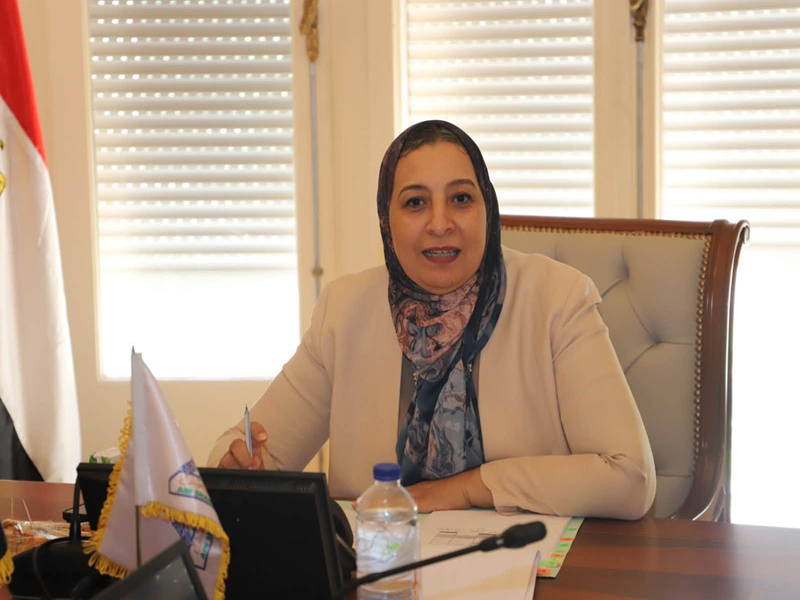 أ.د. غادة فاروق تترأس اجتماع مجلس إدارة مركز الاستشارات المالية والمراجعة بجامعة عين شمس