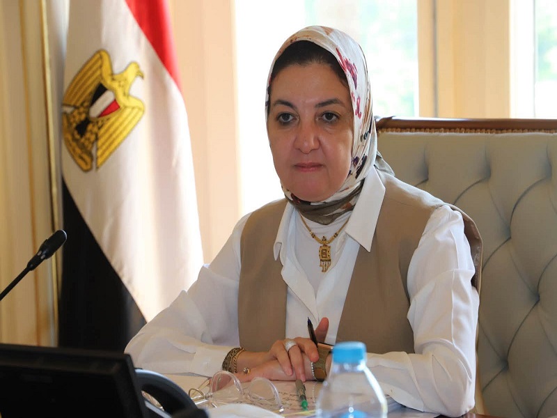 Ain Shams University Vice President for Graduate Studies and Research Launches a Plan to Develop Research Laboratories